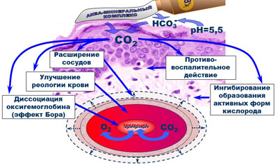 Эффективность сырья для космецевтики Кислородный аква-минеральный комплекс: Коррекция тканевого газообмена